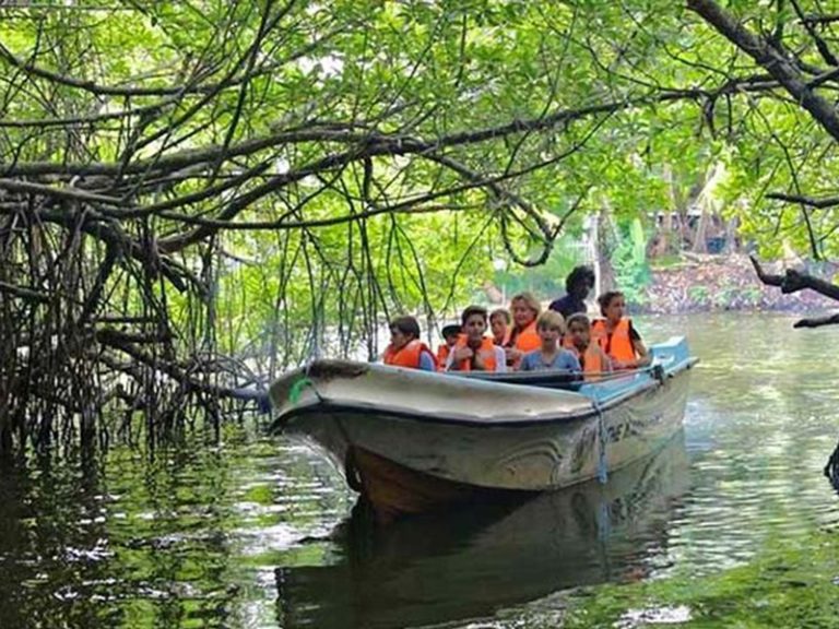 Day Tour Colombo to Galle - Go Ceylon Tours