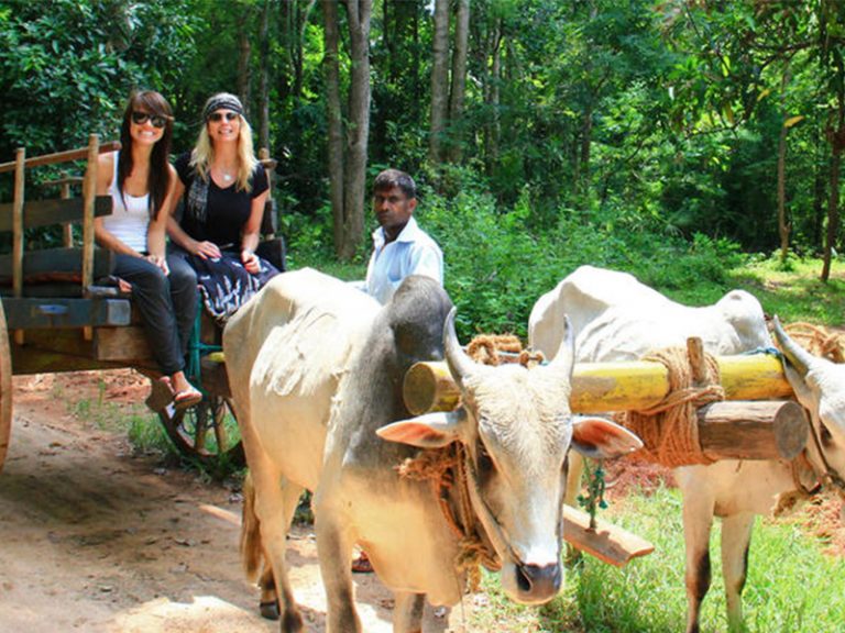 Sigiriya Day Tour go Ceylon